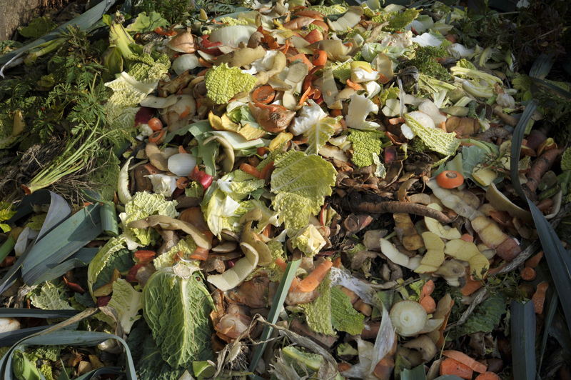 Make Clutter a Thing of the Past: Sustainable Strategies